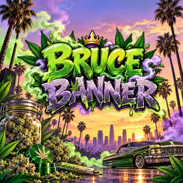 Bruce Banner under 100KB