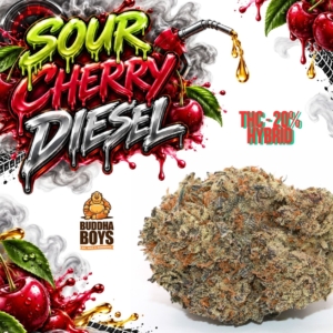 SOUR CHERRY DIESEL | Buddha Boys®