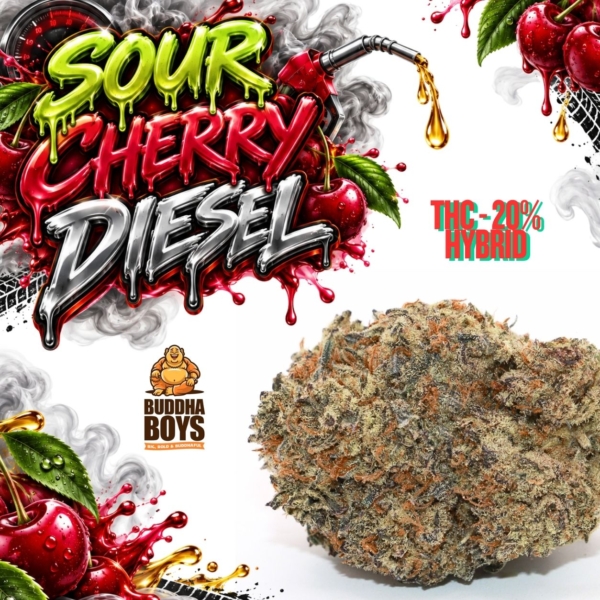 Cherry Diesel Cherry Diesel