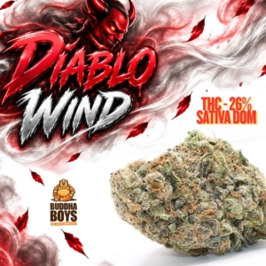DIABLO WIND | Buddha Boys ®