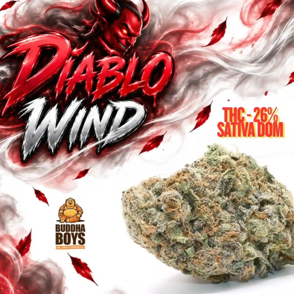 Diablo Wind under80KB