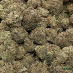 FROSTED GELATO | Buddha Boys ® - Image 3