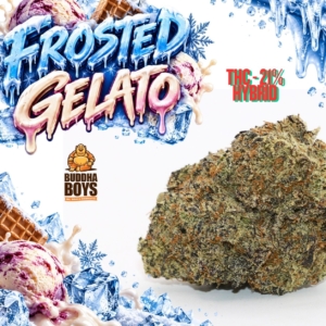 FROSTED GELATO | Buddha Boys ®