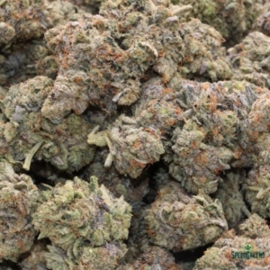 LEMON CHERRY GELATO Organic Flower INDICA | Frost Factory® - Image 3