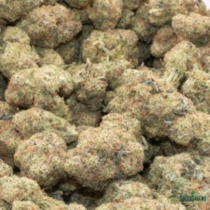 MAKAVELI OG | Buddha Boys ® - Image 3