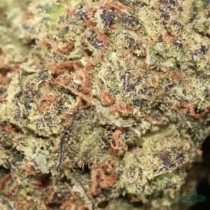 SOUR CHERRY DIESEL | Buddha Boys® - Image 4
