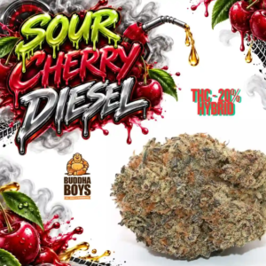 SOUR CHERRY DIESEL | Buddha Boys®