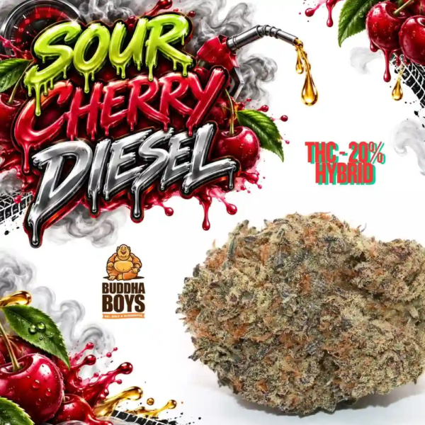 Sour Cherry Diesel under80KB