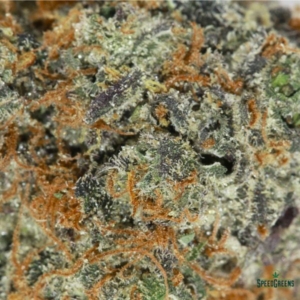 TROPICAL PARADISE Organic Flower SATIVA | Frost Factory ® - Image 4