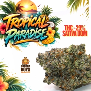 TROPICAL Paradise Organic Flower Sativa | Frost Factory ®