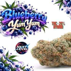 BLUEBERRY YUM YUM | Next Level ®