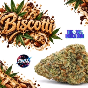 BISCOTTI | Next Level ®