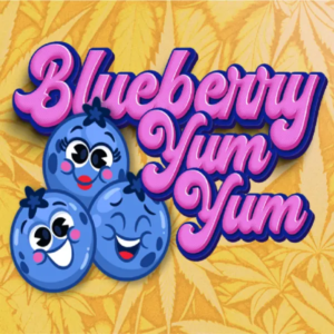 BLUEBERRY YUM YUM | Next Level ® - Image 3