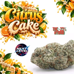 CITRUS CAKE | Next Level ®