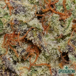CITRUS CAKE | Next Level ® - Image 3