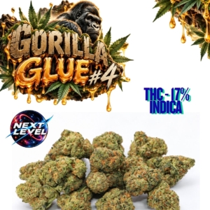 GORILLA GLUE #4 SMALLS | Next Level ®
