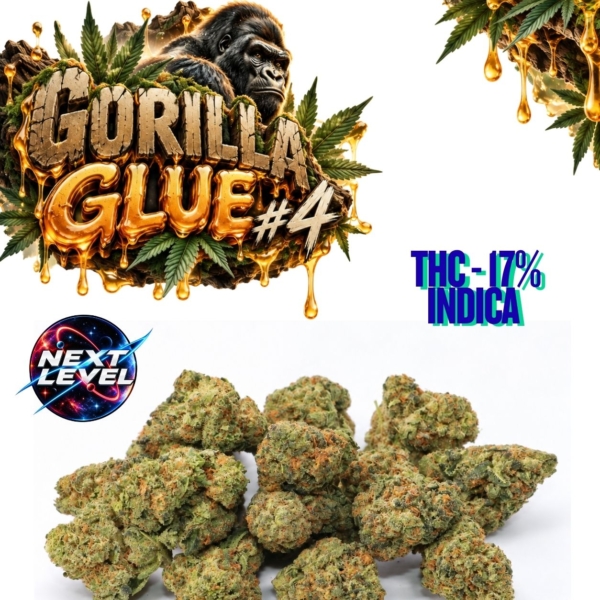 GG4FINAL