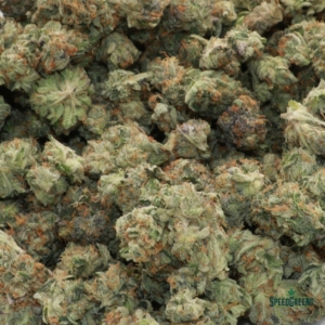 KL Bag