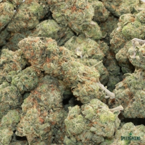 MK ULTRA | Next Level ® - Image 3