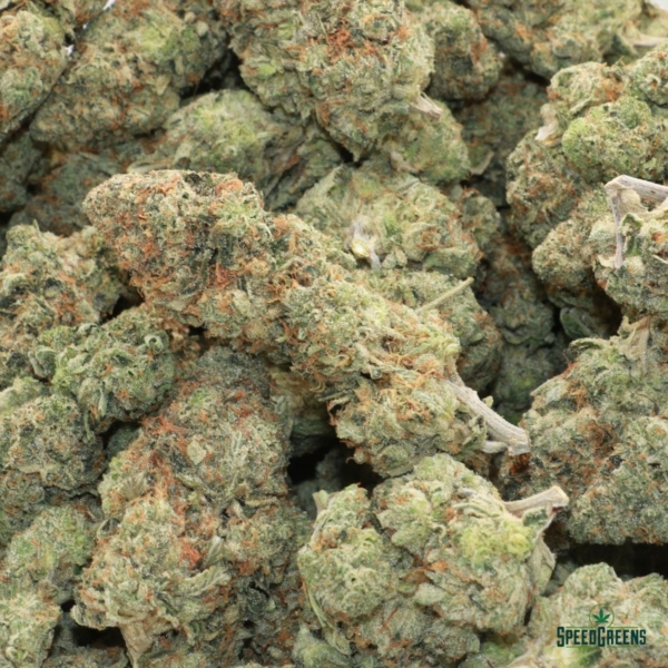 MK Ultra Bag