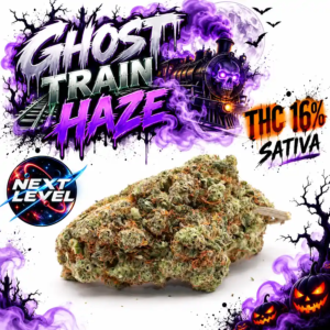 GHOST TRAIN HAZE | by Next Level®