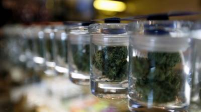 Buy Pounds of Weed Online Canada: Tips in Buying