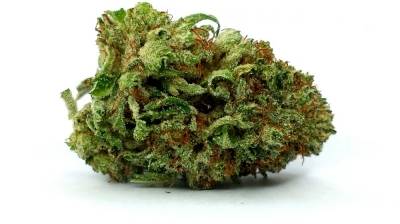 Buy Real Weed Online: Where To Buy